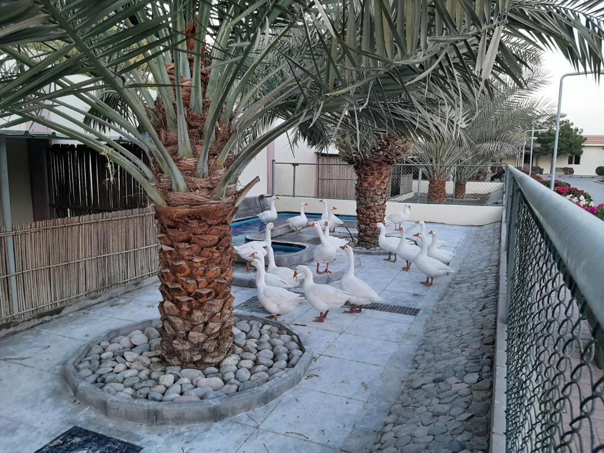Asahalah Farm Villas Seeb Bagian luar foto